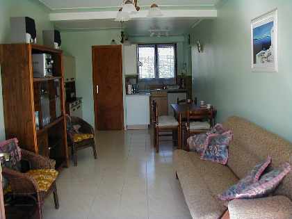 Ground floor living area and kitchen